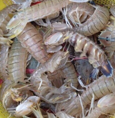 NHỮNG THỰC PHẨM BIỂN TẠI QUAN LẠN